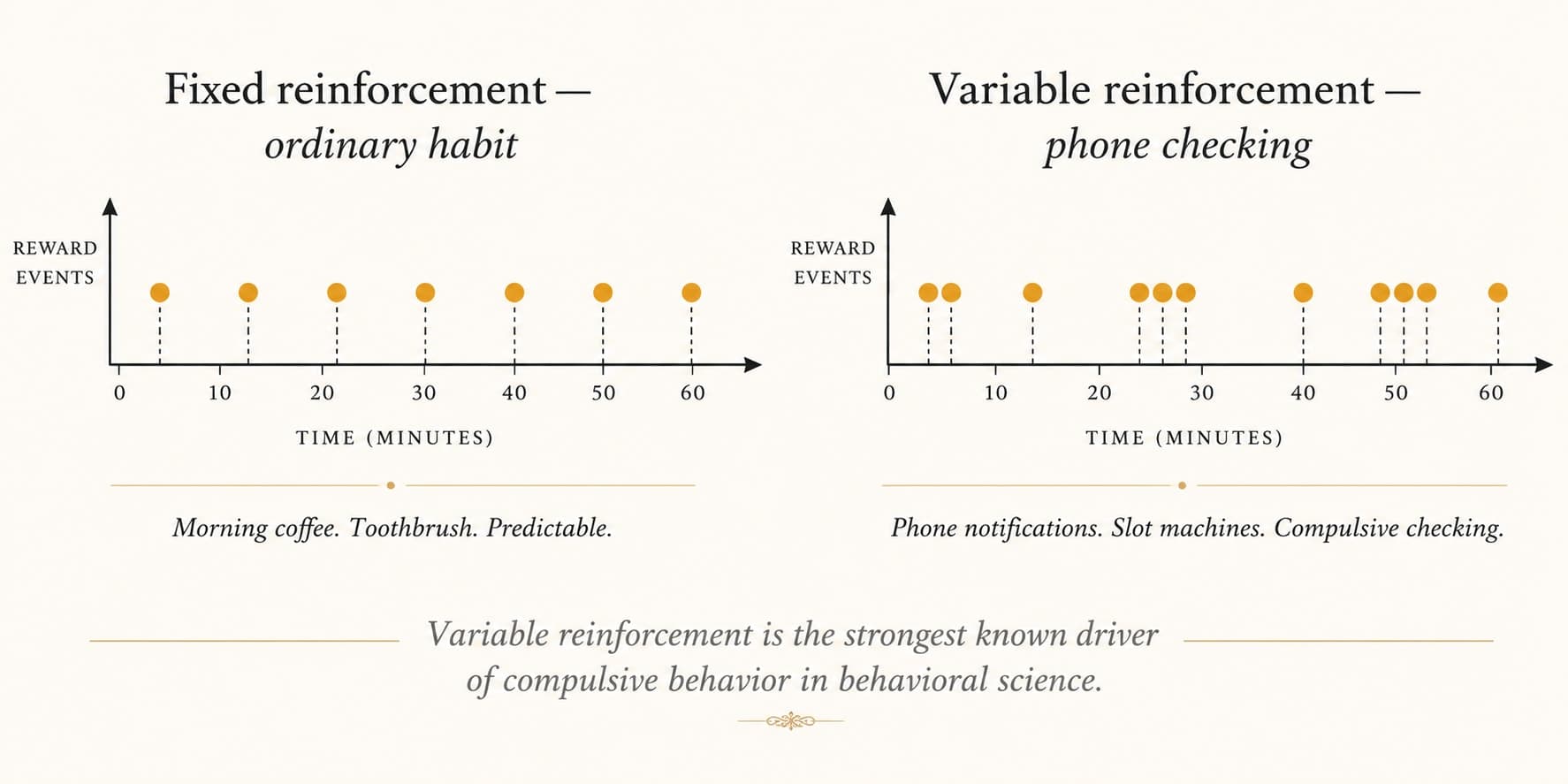 Scientific visualization comparing two reinforcement schedules: a steady fixed-reward pattern of an ordinary habit on the left versus the unpredictable variable-reward pattern of phone checking on the right, illustrating why the variable schedule is more compulsive