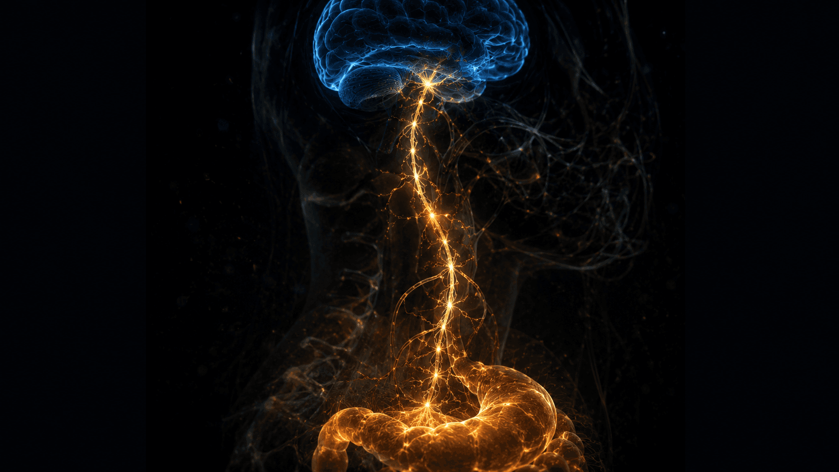 Cinematic visualization of the vagus nerve connecting the gut to the brain, with golden signals traveling upward from the amber-glowing intestines to the electric-blue brain