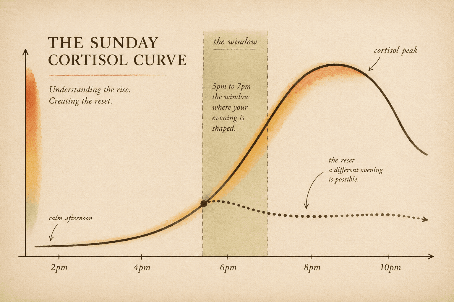 Editorial illustration of the anticipatory cortisol curve rising through Sunday afternoon and evening hours from 2pm to 10pm, with a marked interruption point at 5pm