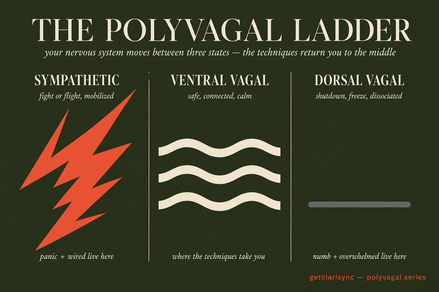 Contemporary editorial illustration of the polyvagal ladder showing the three vagal states — sympathetic mobilization as a coral lightning bolt, ventral vagal safety as cream horizontal waves, and dorsal vagal shutdown as a slate grey flat line — arranged as bold geometric color-block shapes on a deep olive-slate green background