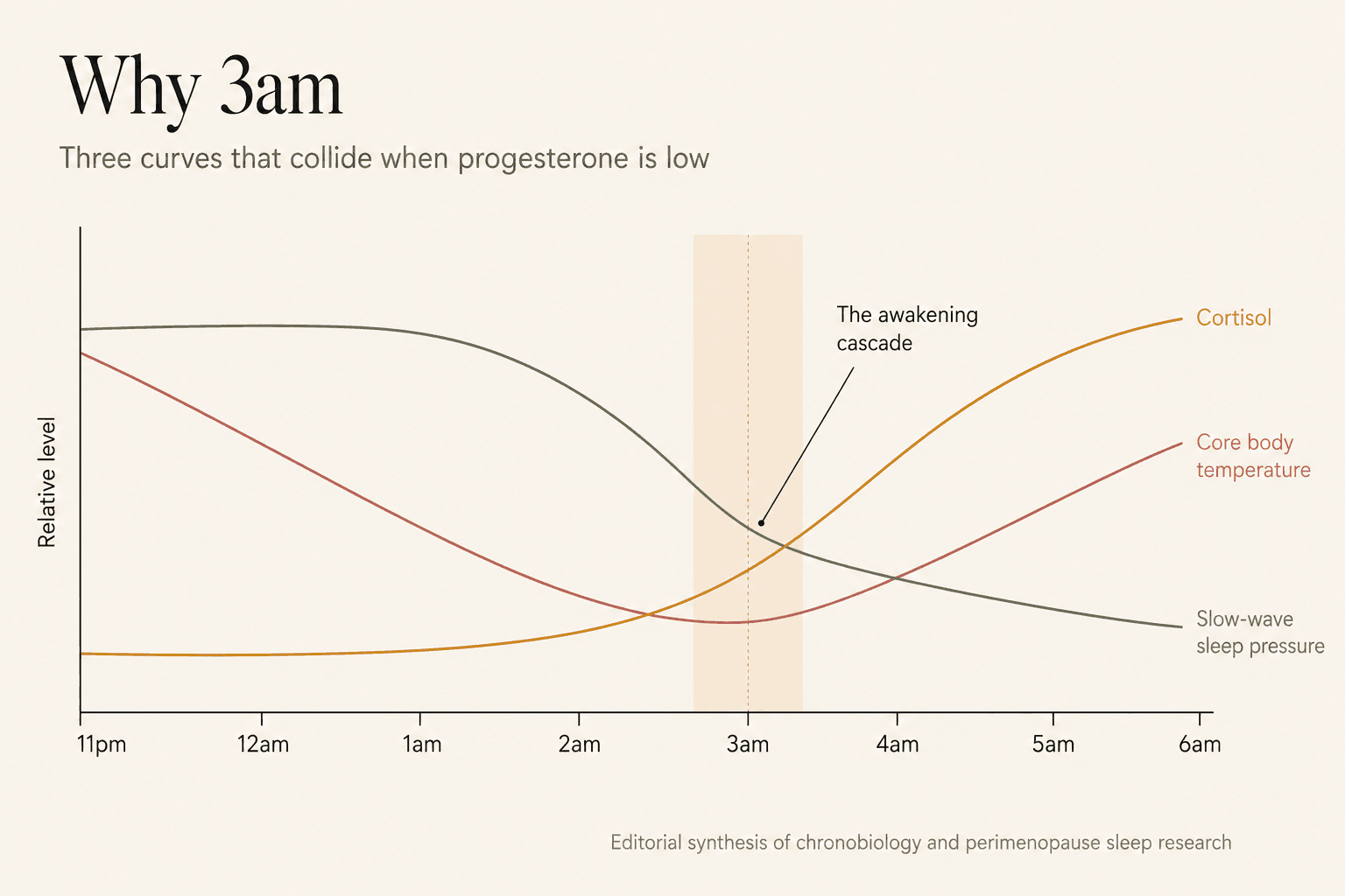 Multi-line overlay chart showing core body temperature, cortisol, and slow-wave sleep pressure curves colliding at 3am during perimenopause